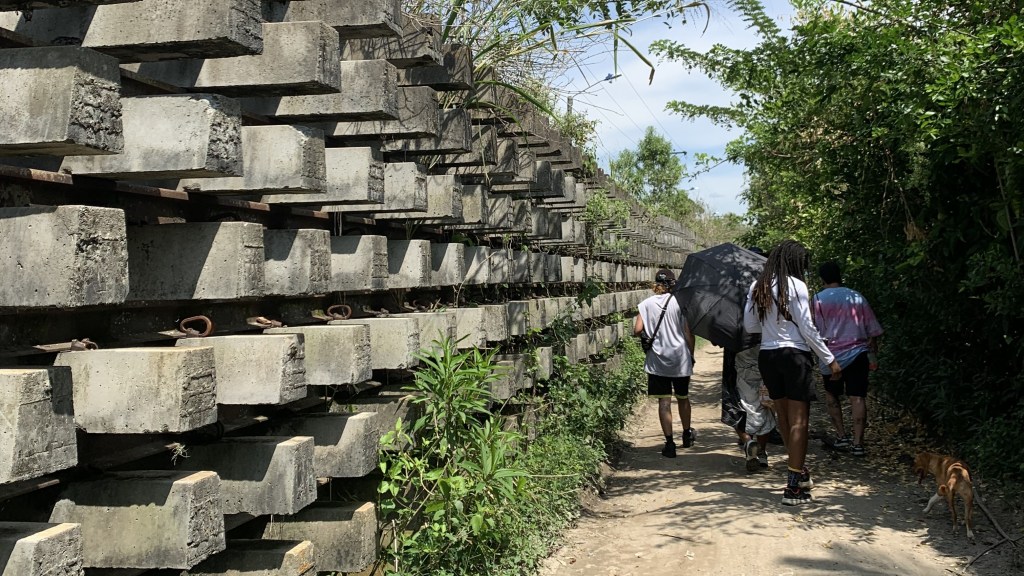 las vías del tren desmontadas y llenas de plantas